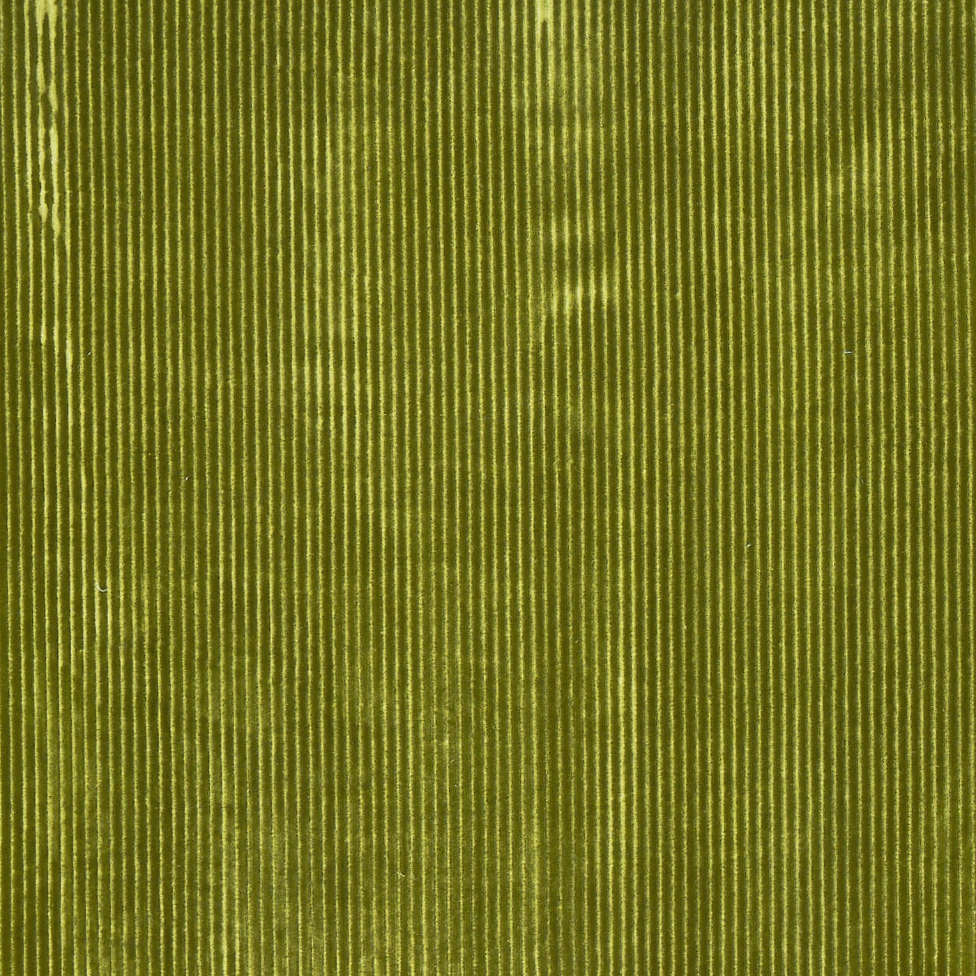 Helix Wasabi