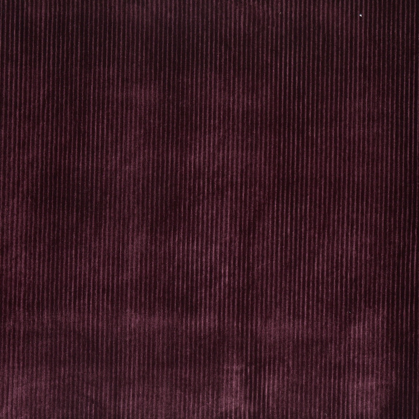 Helix Plum