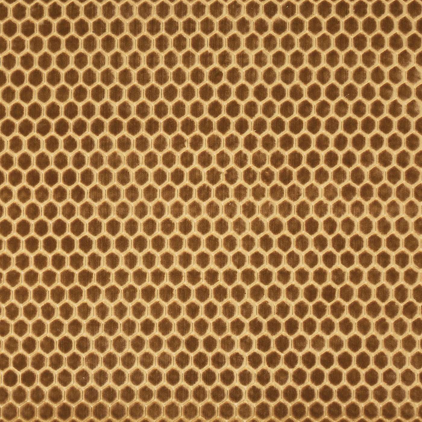 Prism Honey