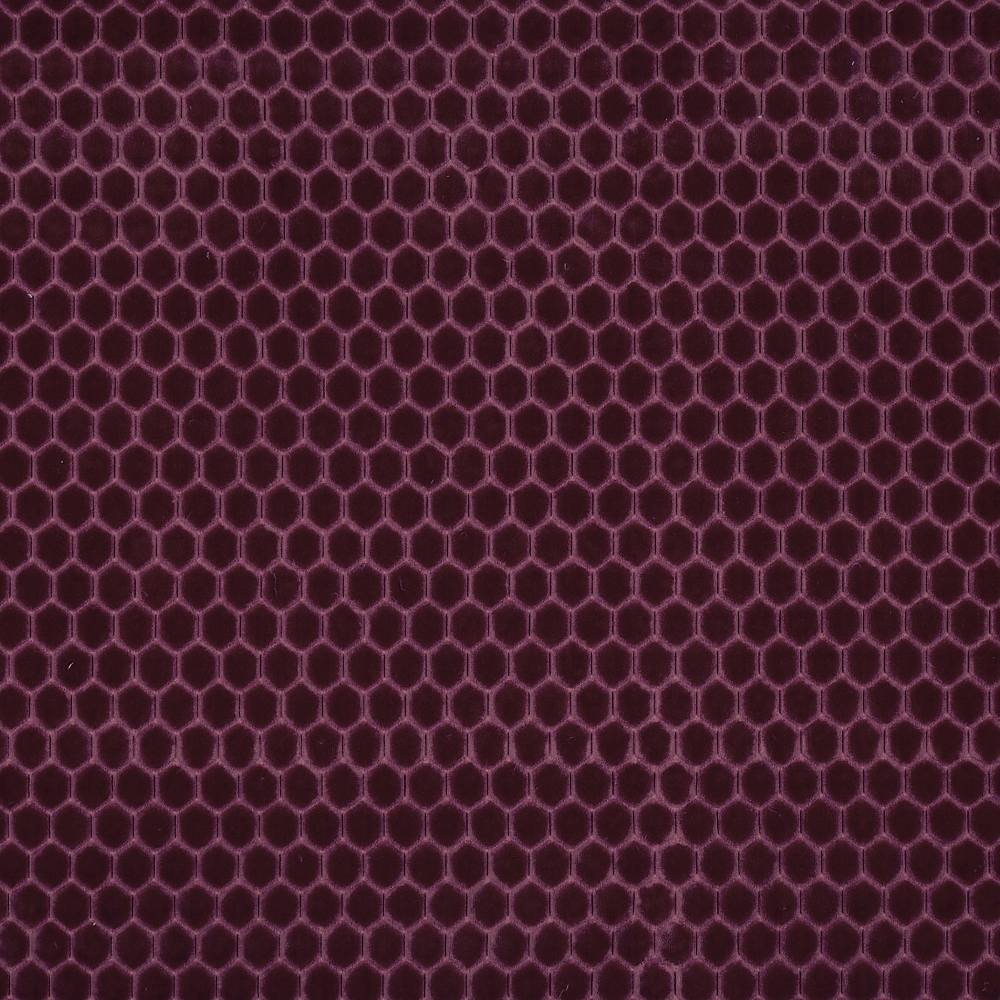 Prism Plum