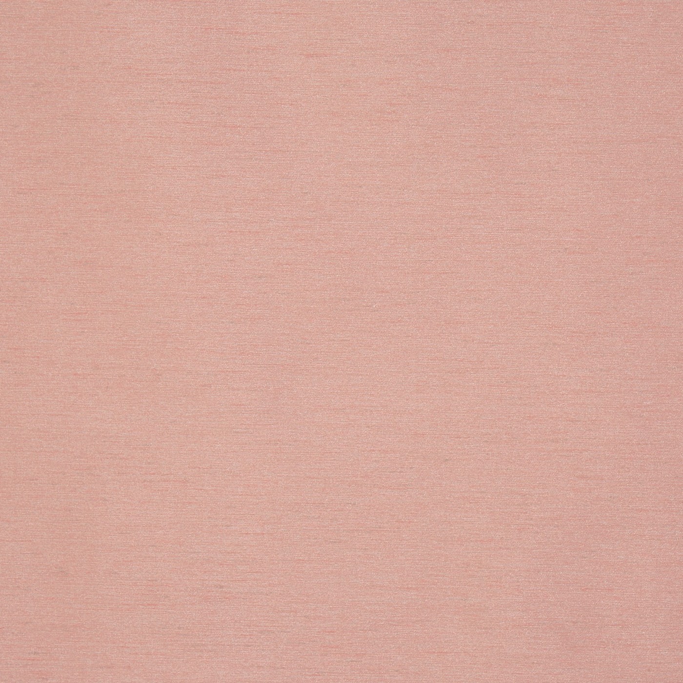 Opulence Rose