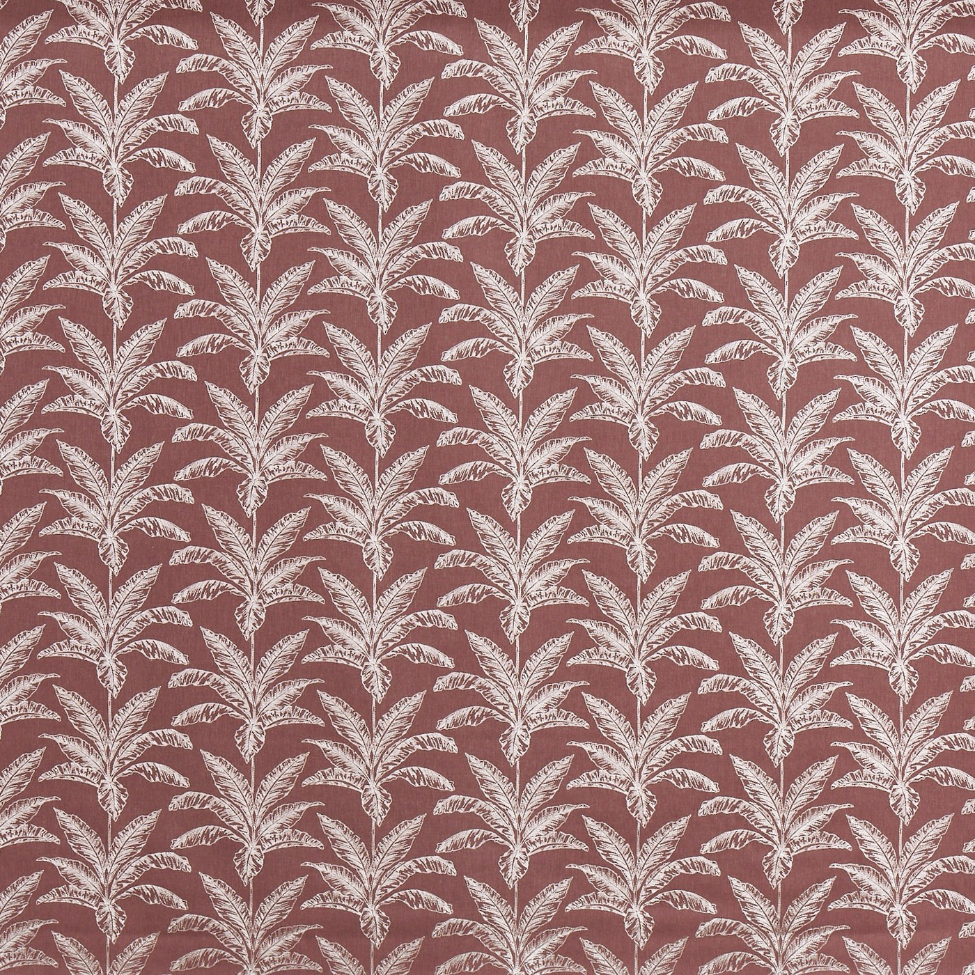 Allegro Juniper