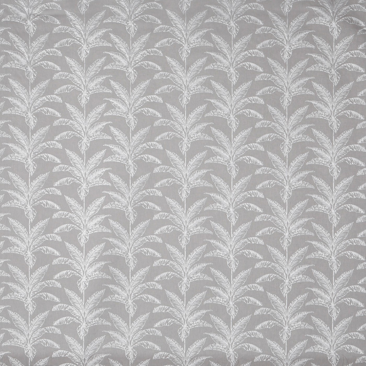 Allegro Platinum