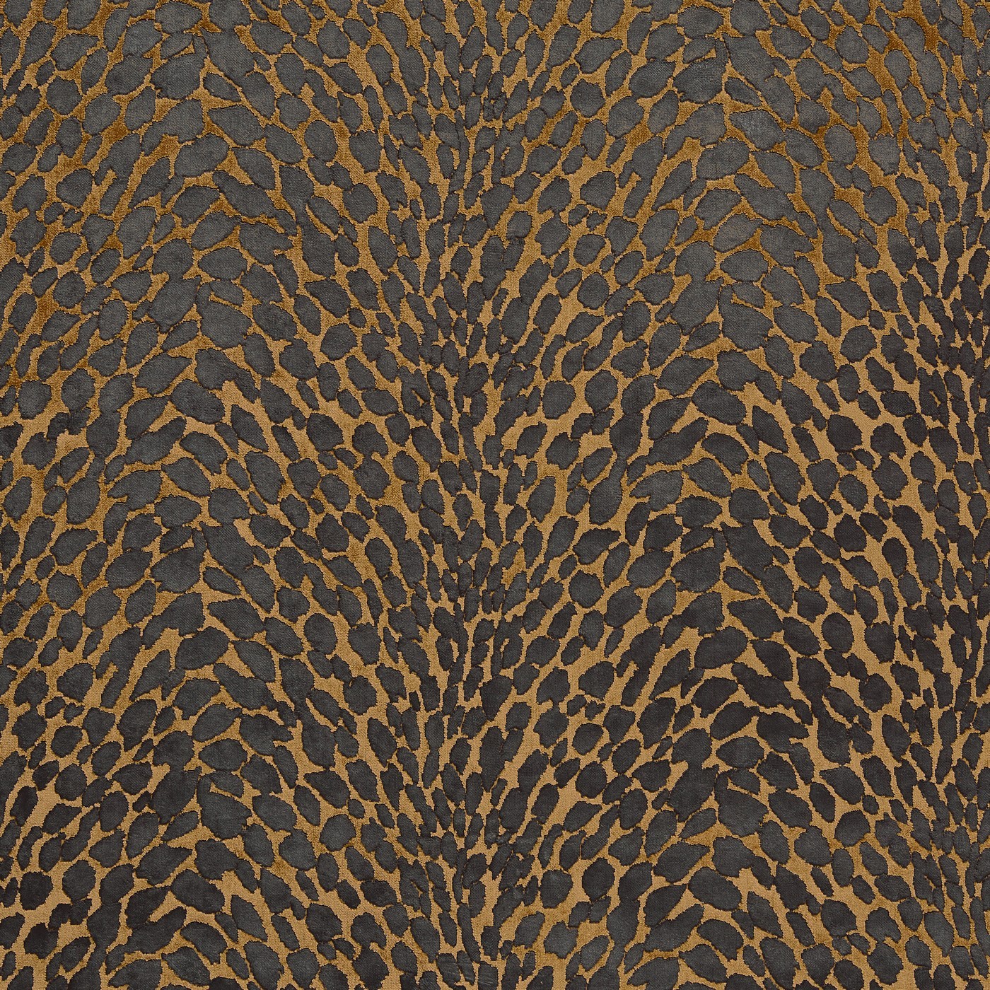 Lyric Bronze