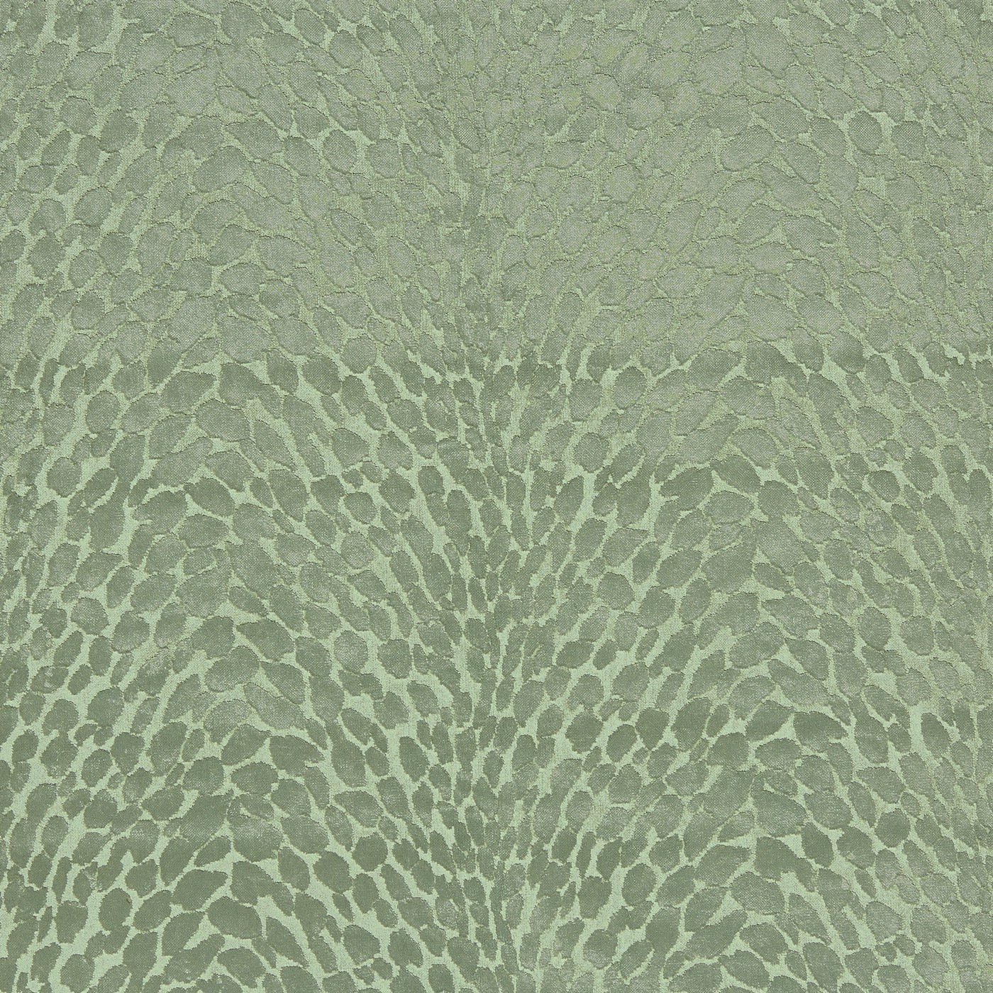 Lyric Palm