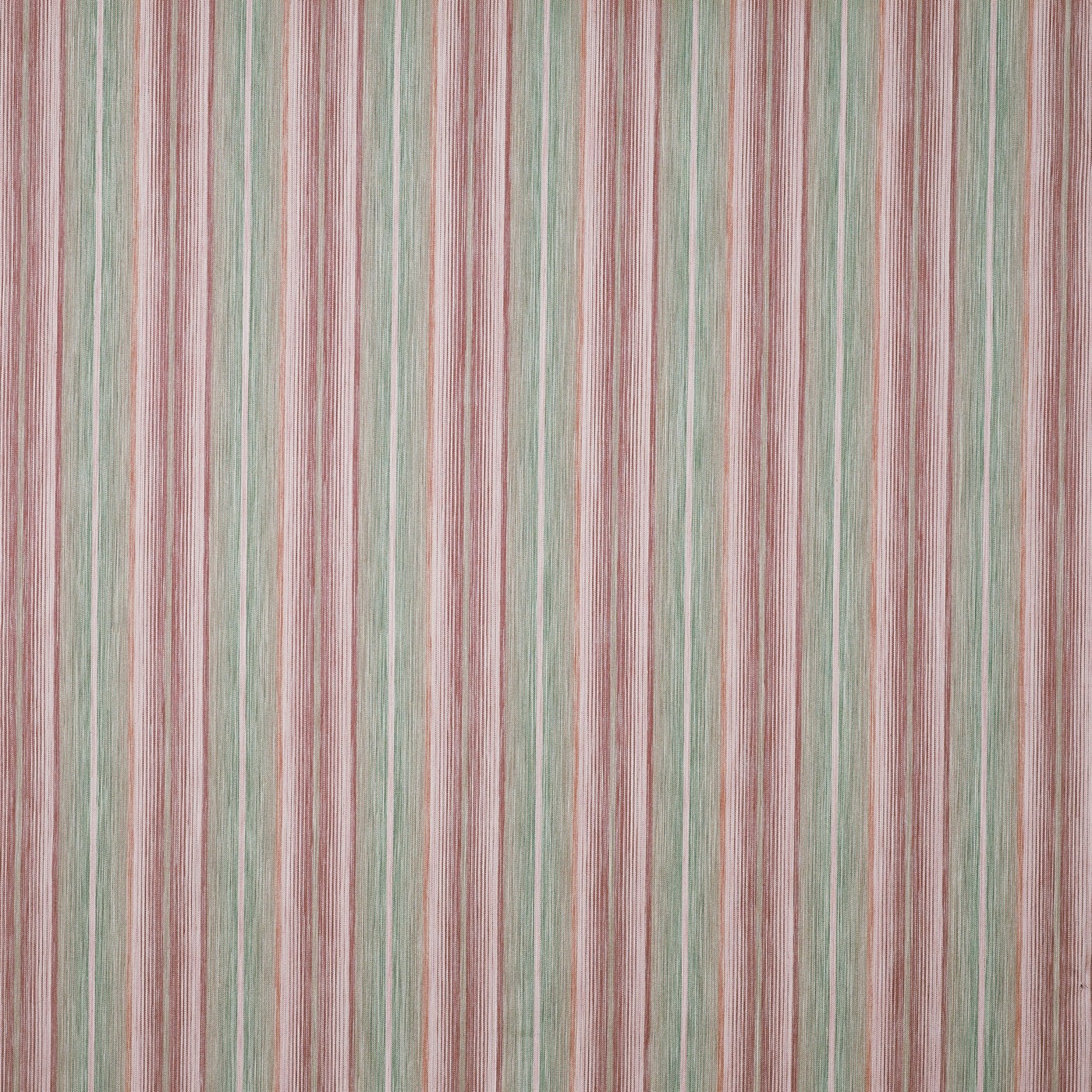 Nico Bon Bon (pts120)