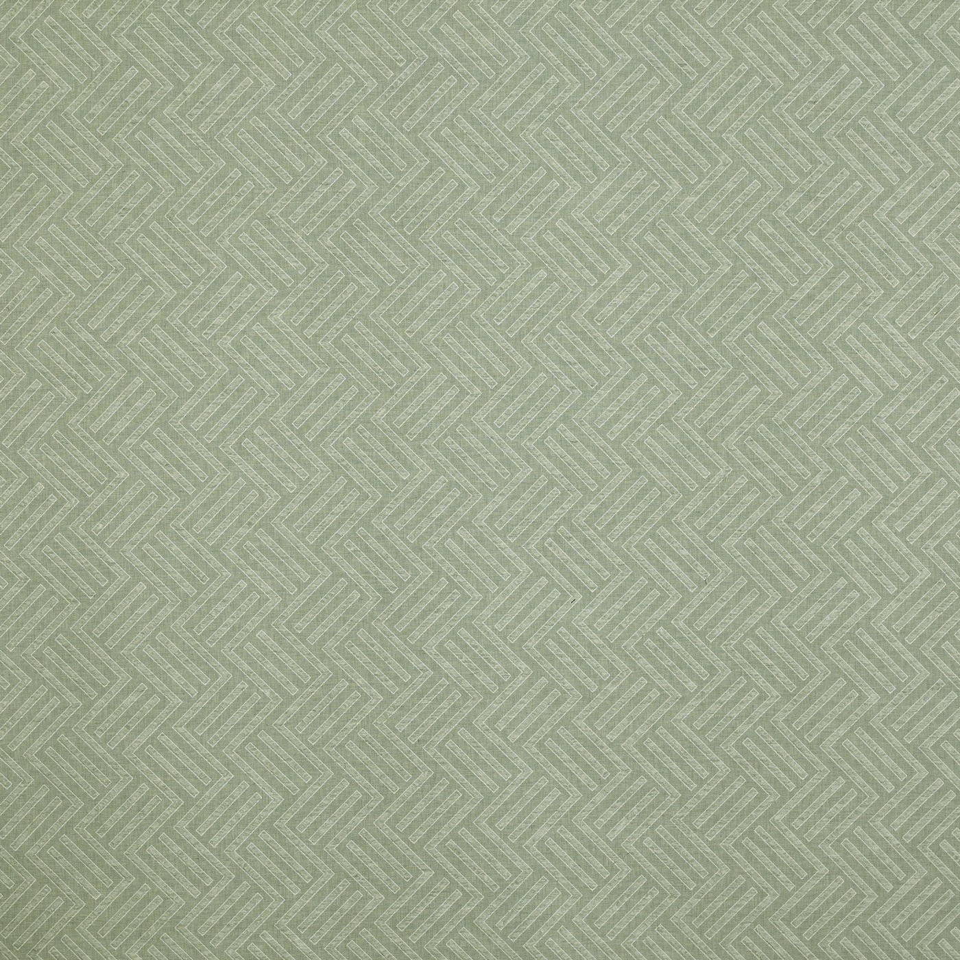 Avesta Fern