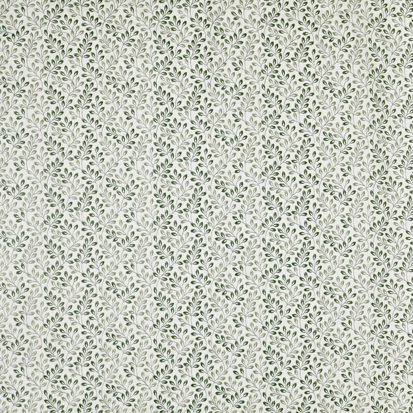 Fitzrovia Laurel