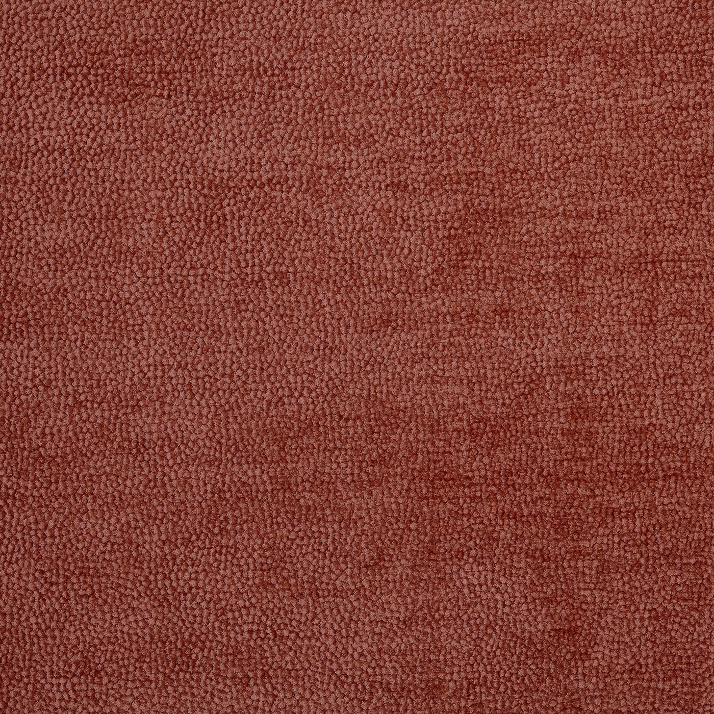 Rodin Spice