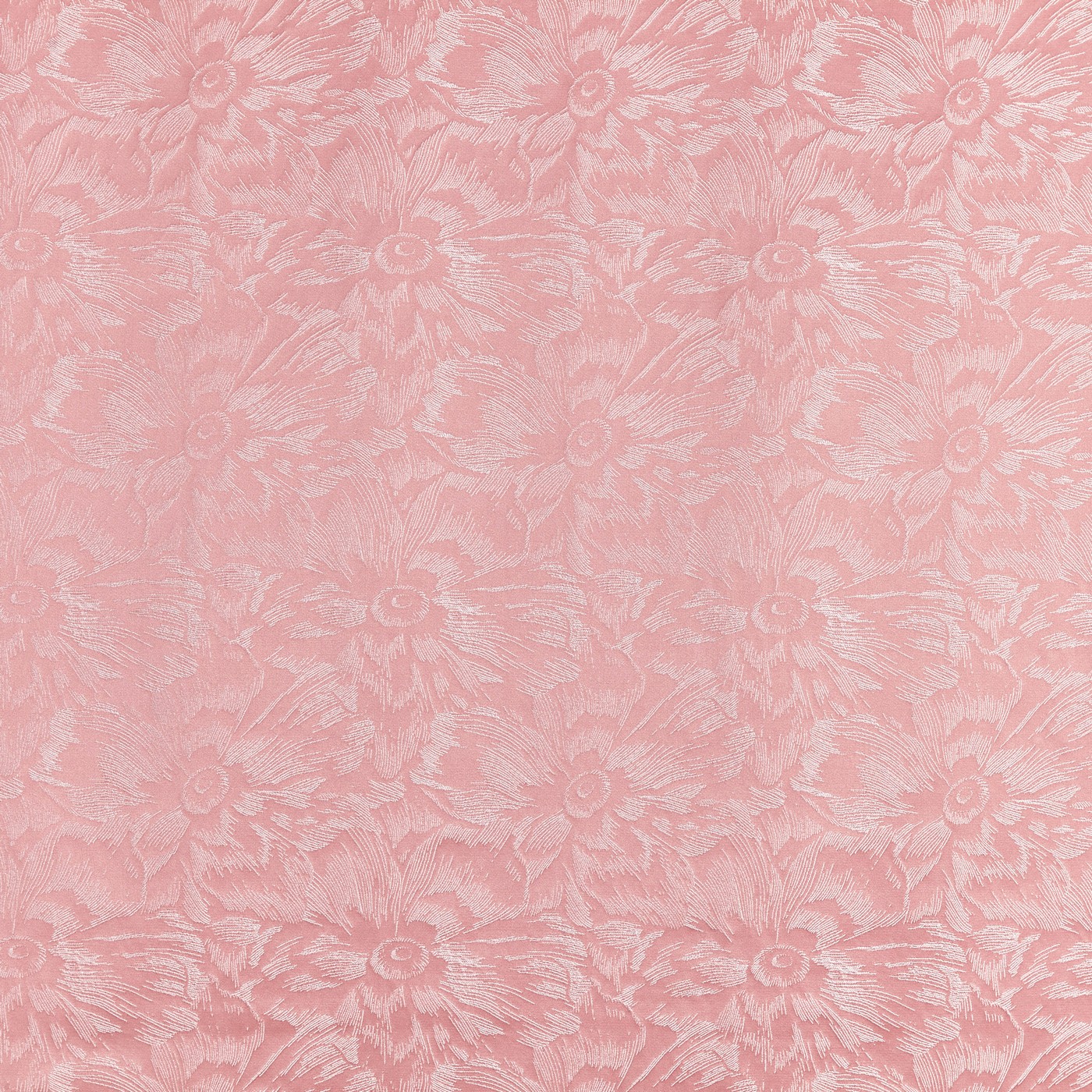 Cherie Meringue