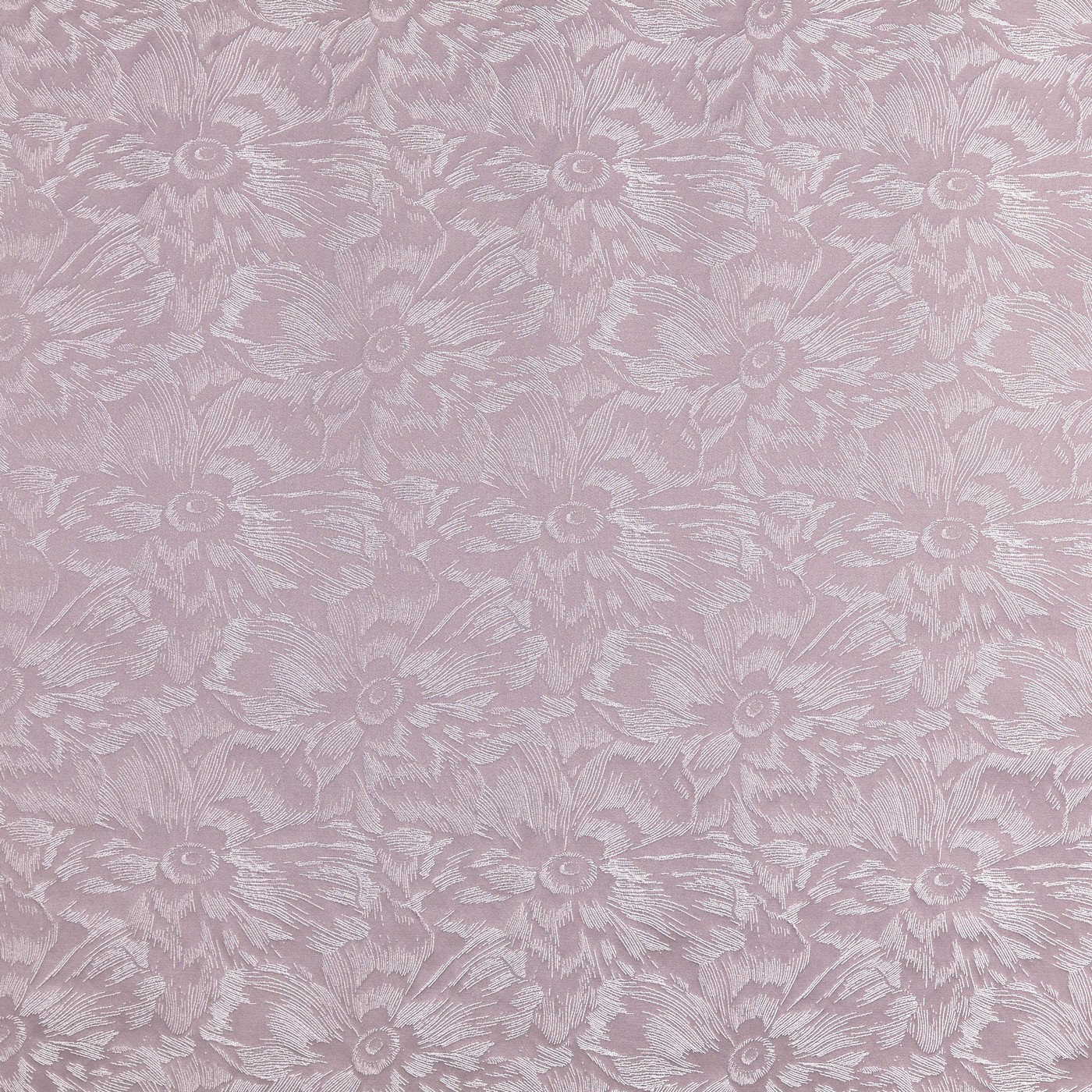 Cherie Wisteria