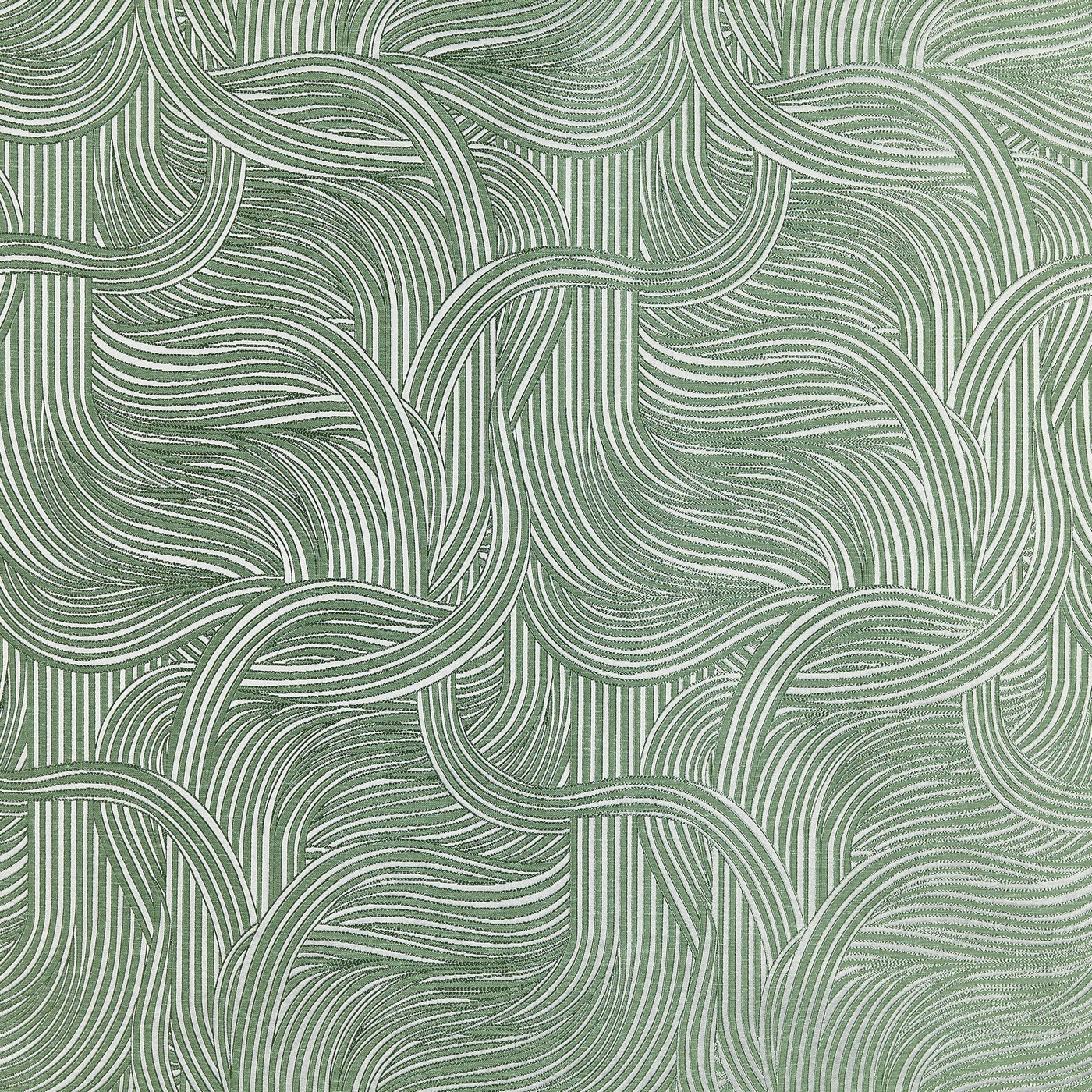 Jolie Basil