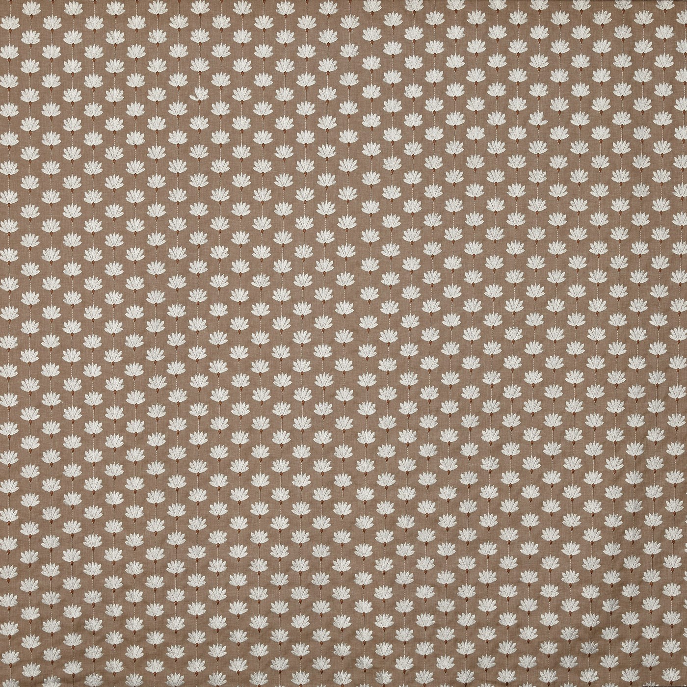 Lodore Cinnamon