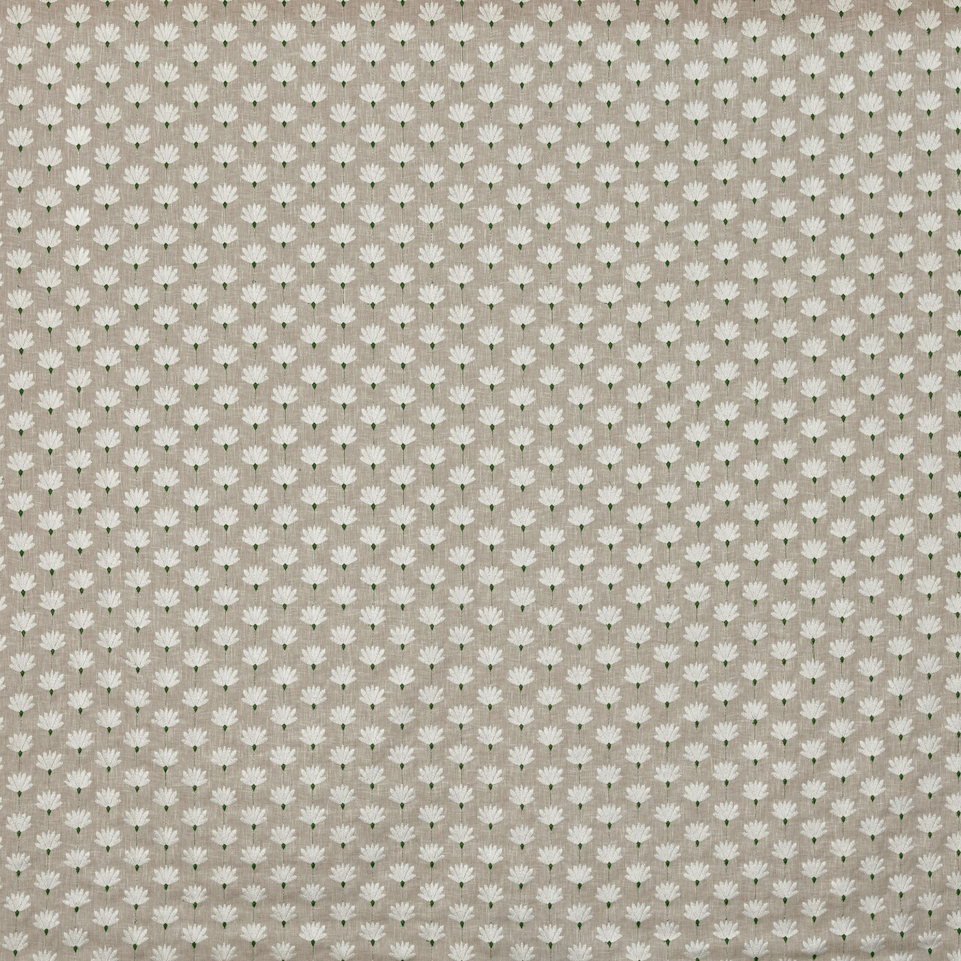 Lodore Peppermint