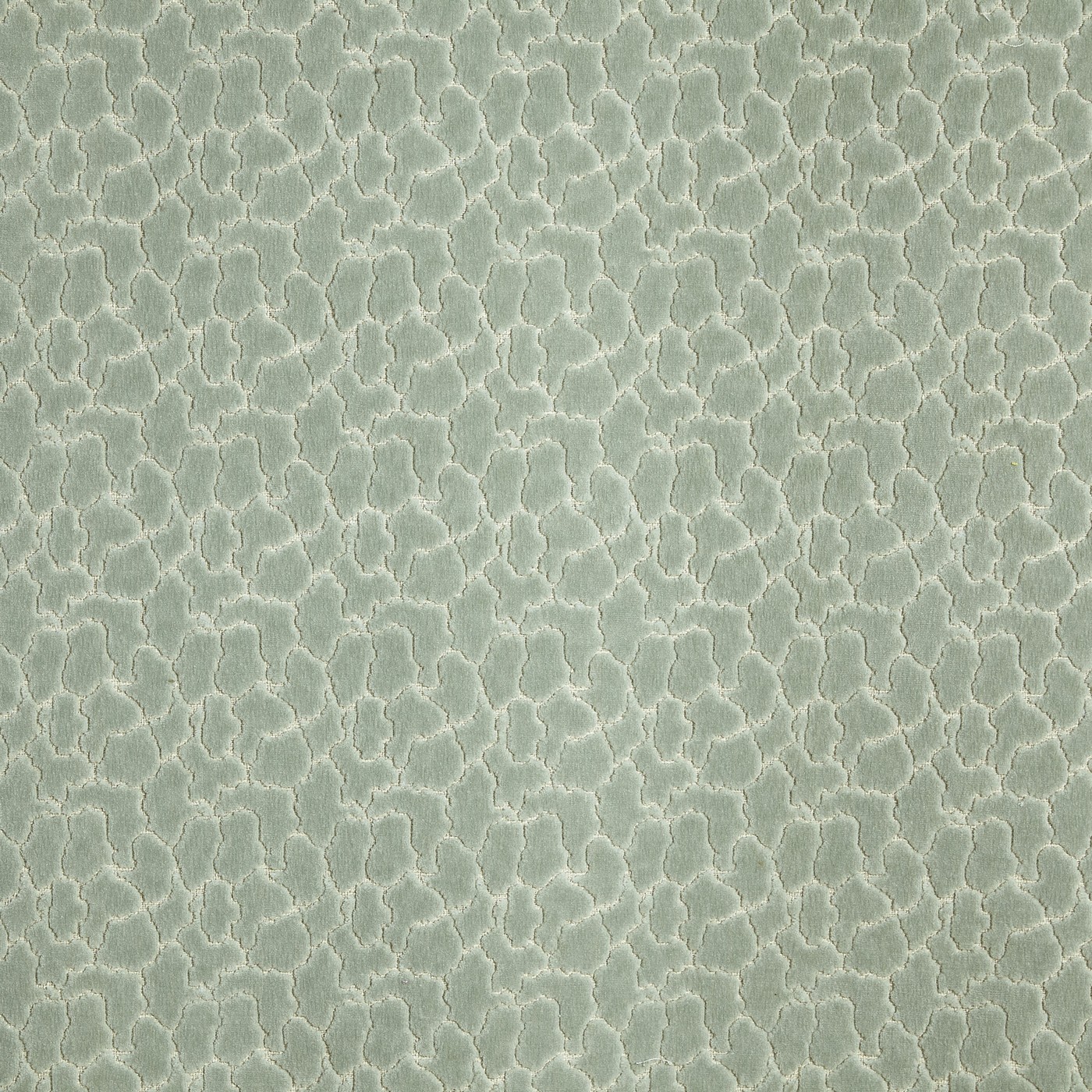 Rockliffe Peppermint
