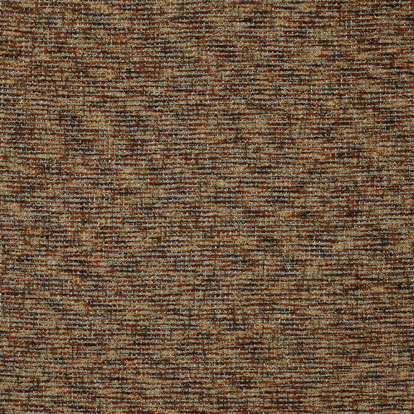 Neema Sienna