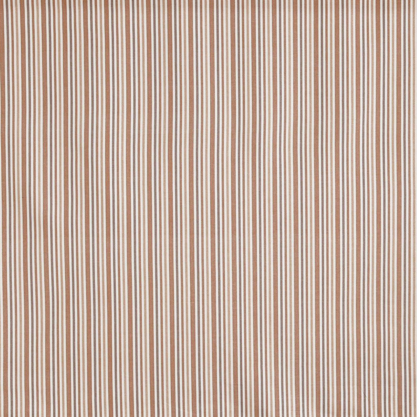 Towan Coral