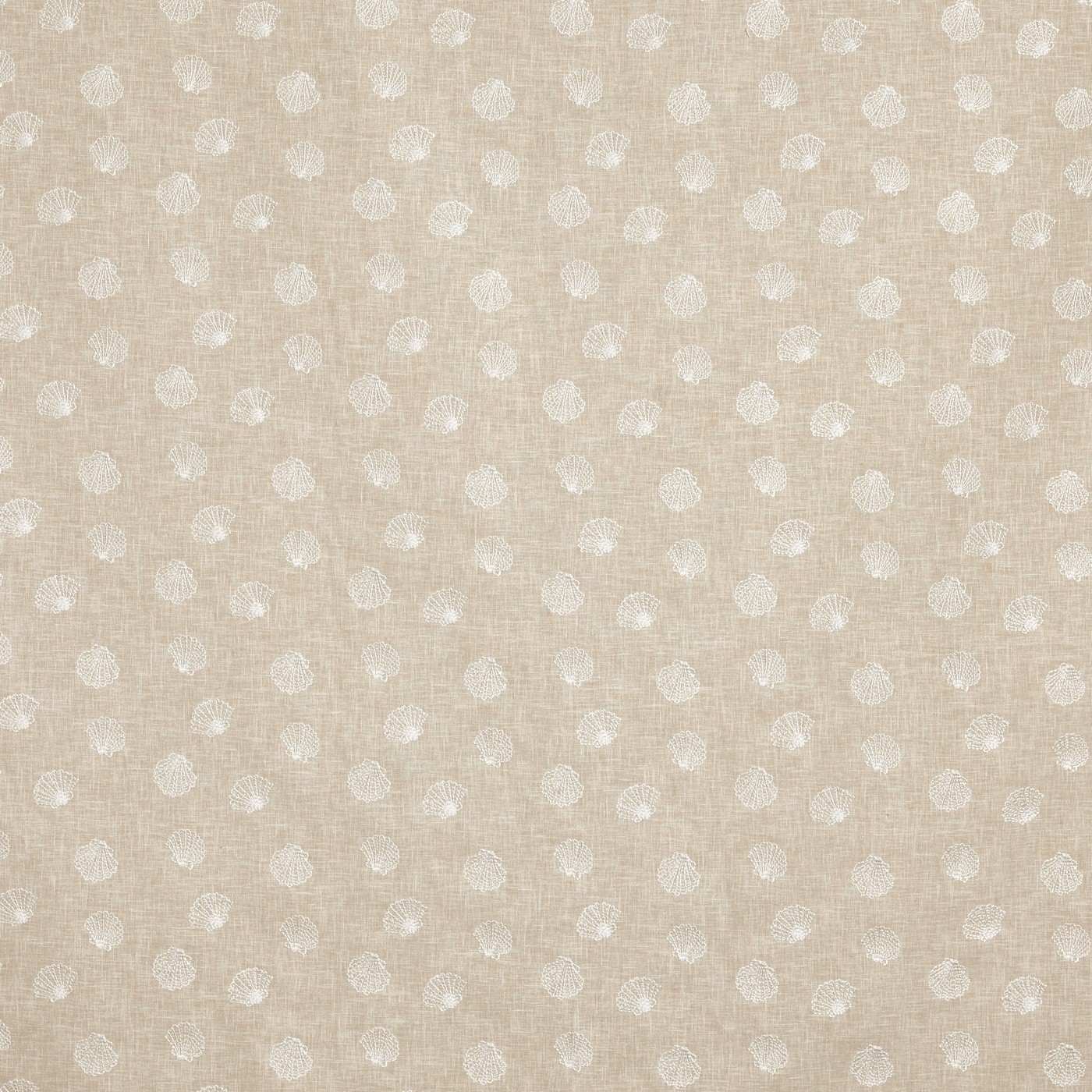 Periwinkle Oyster