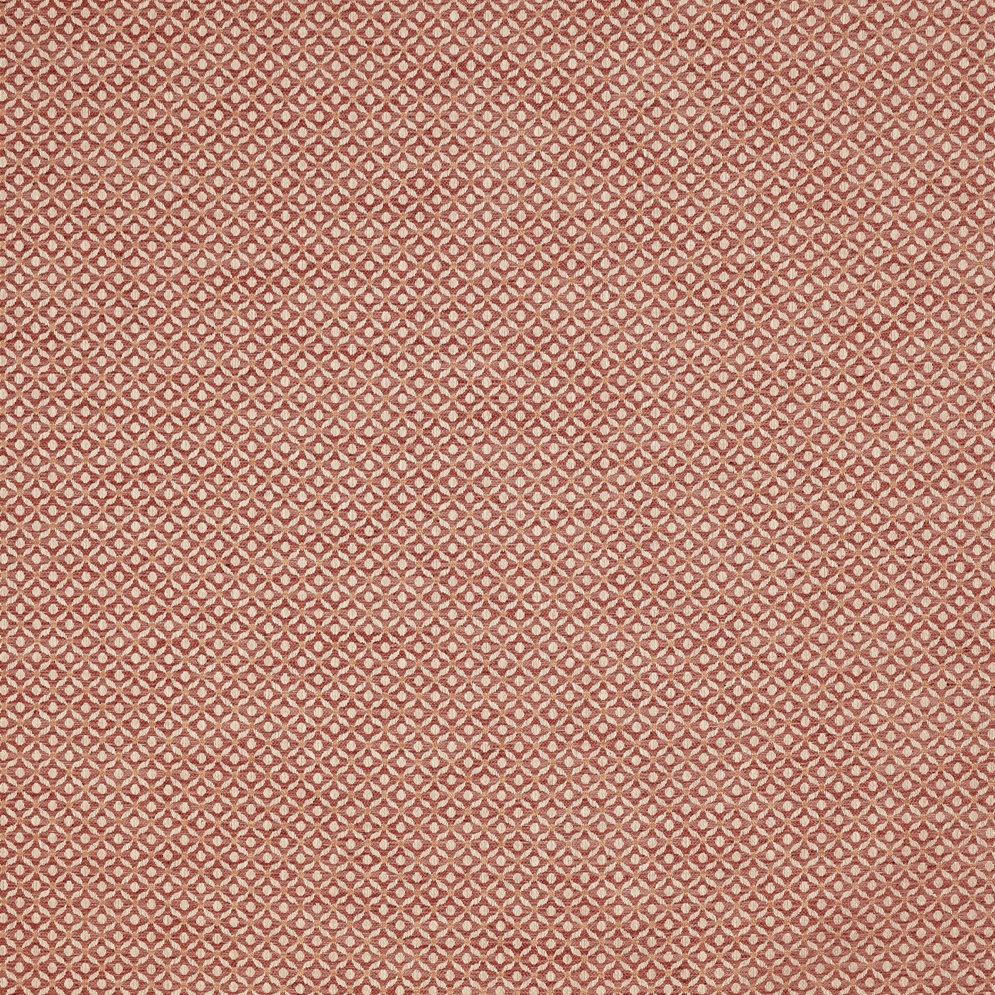 Westwood Rose