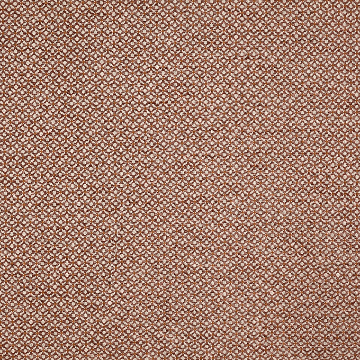 Westwood Apricot