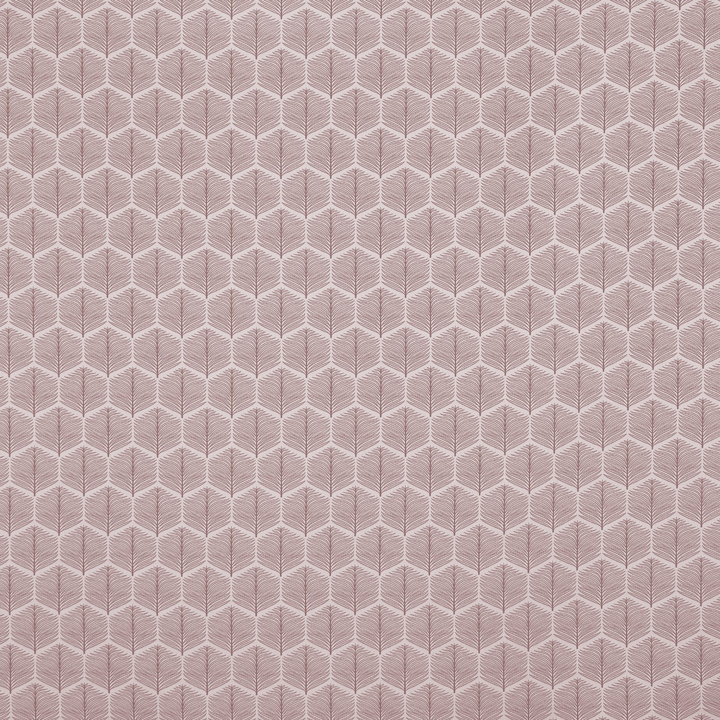 Puccini Petal
