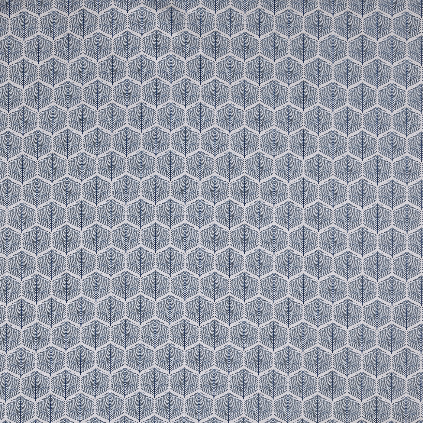 Puccini Navy