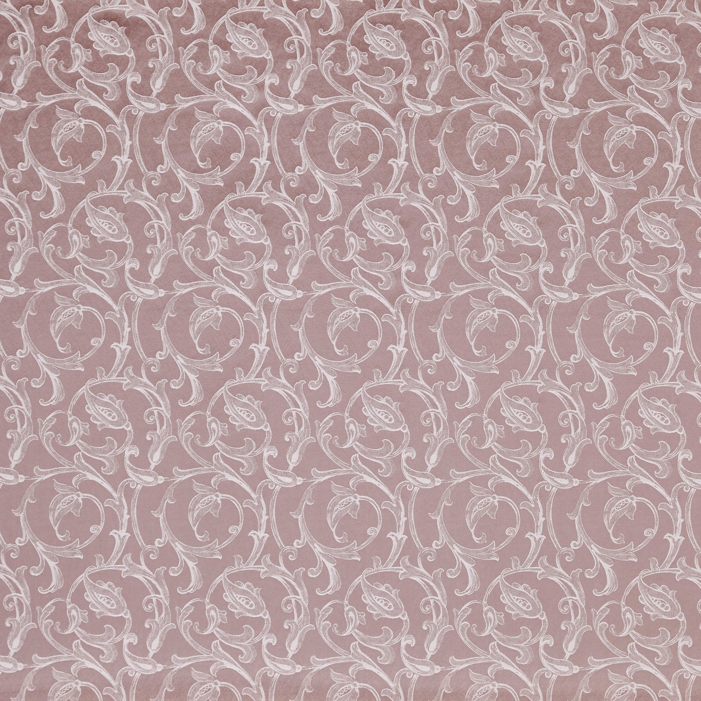 Vivaldi Petal