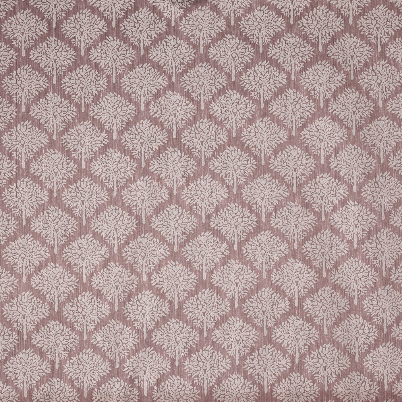 Rossini Petal