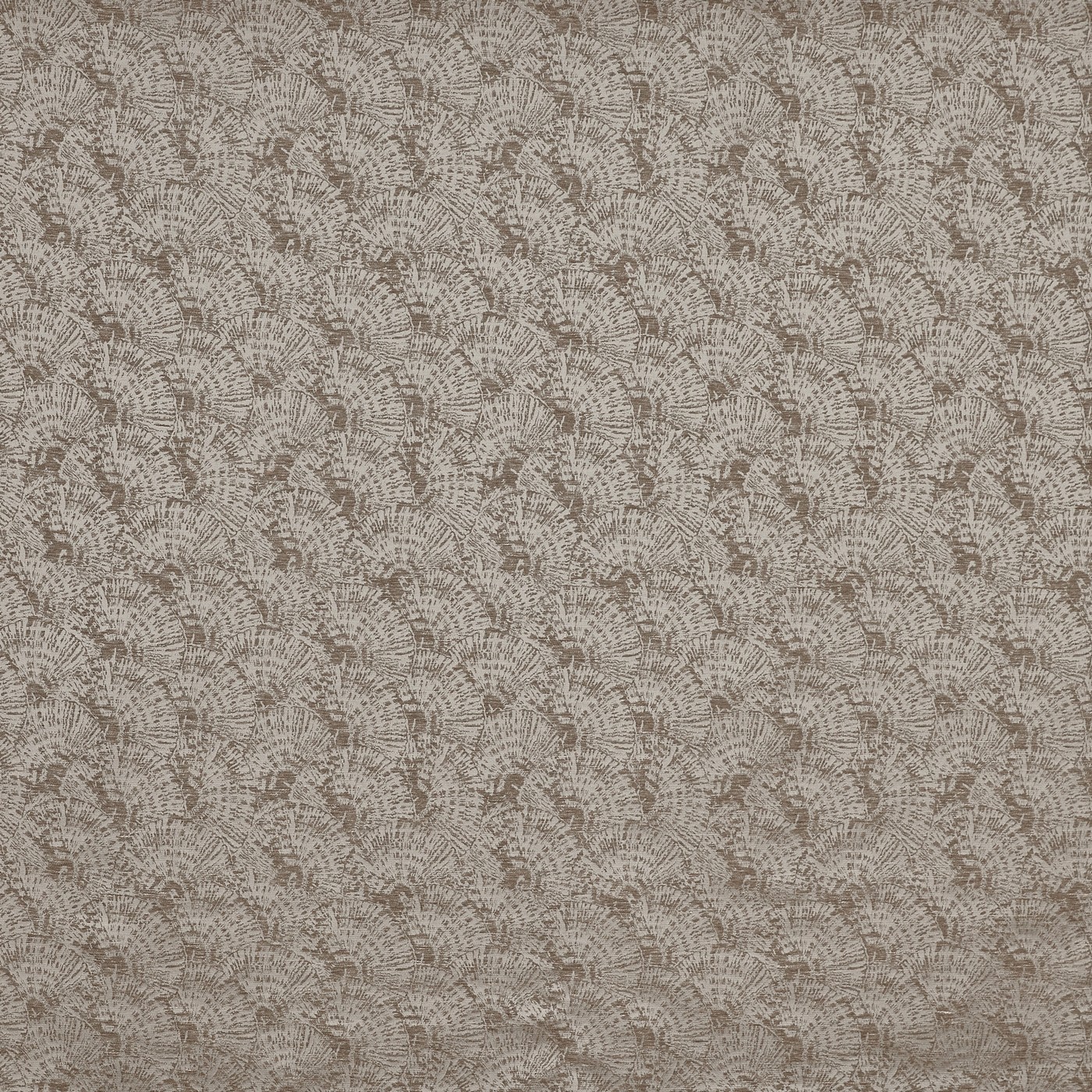 Neve Bronze