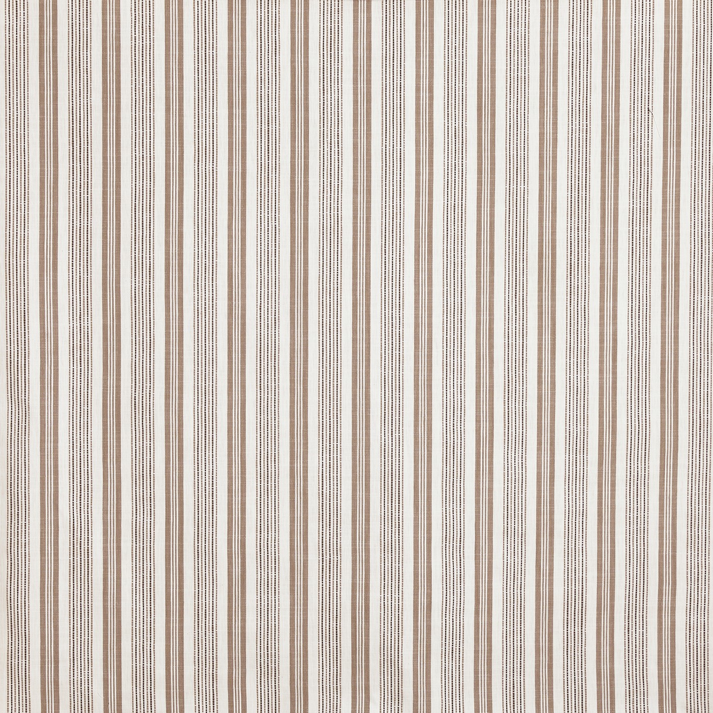 Foxhall Almond