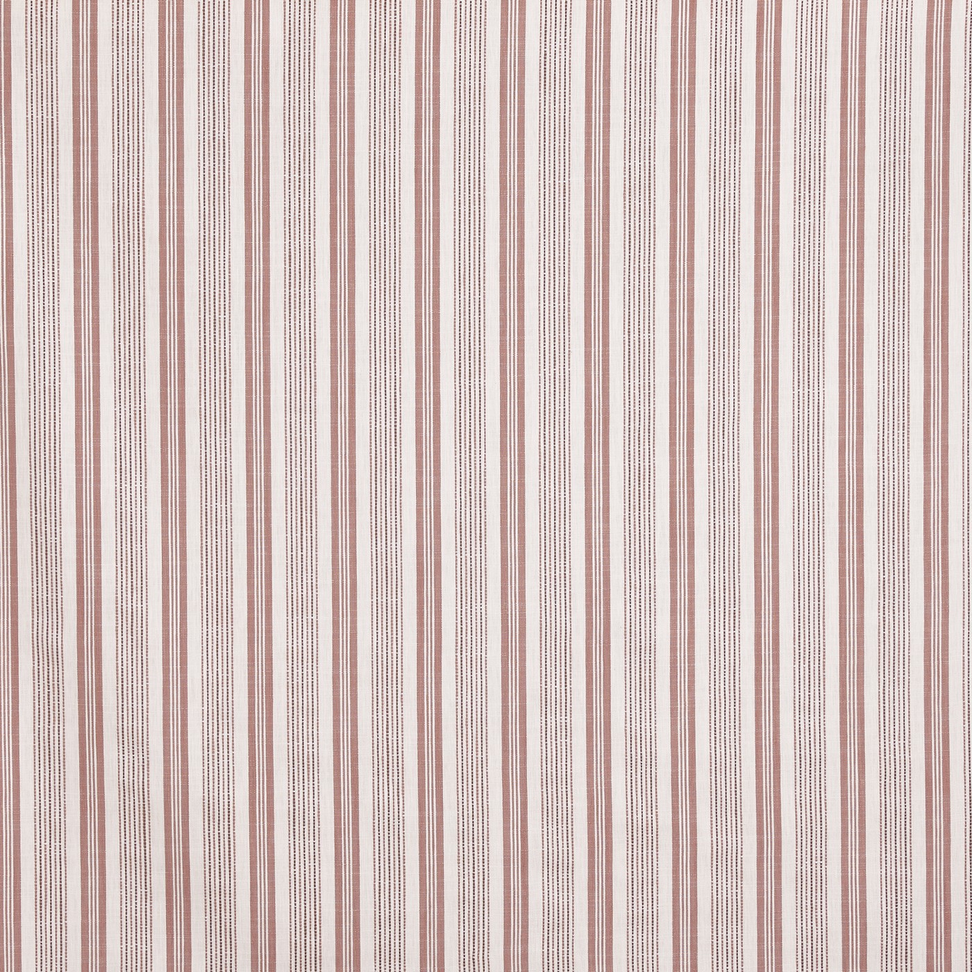 Foxhall Apricot