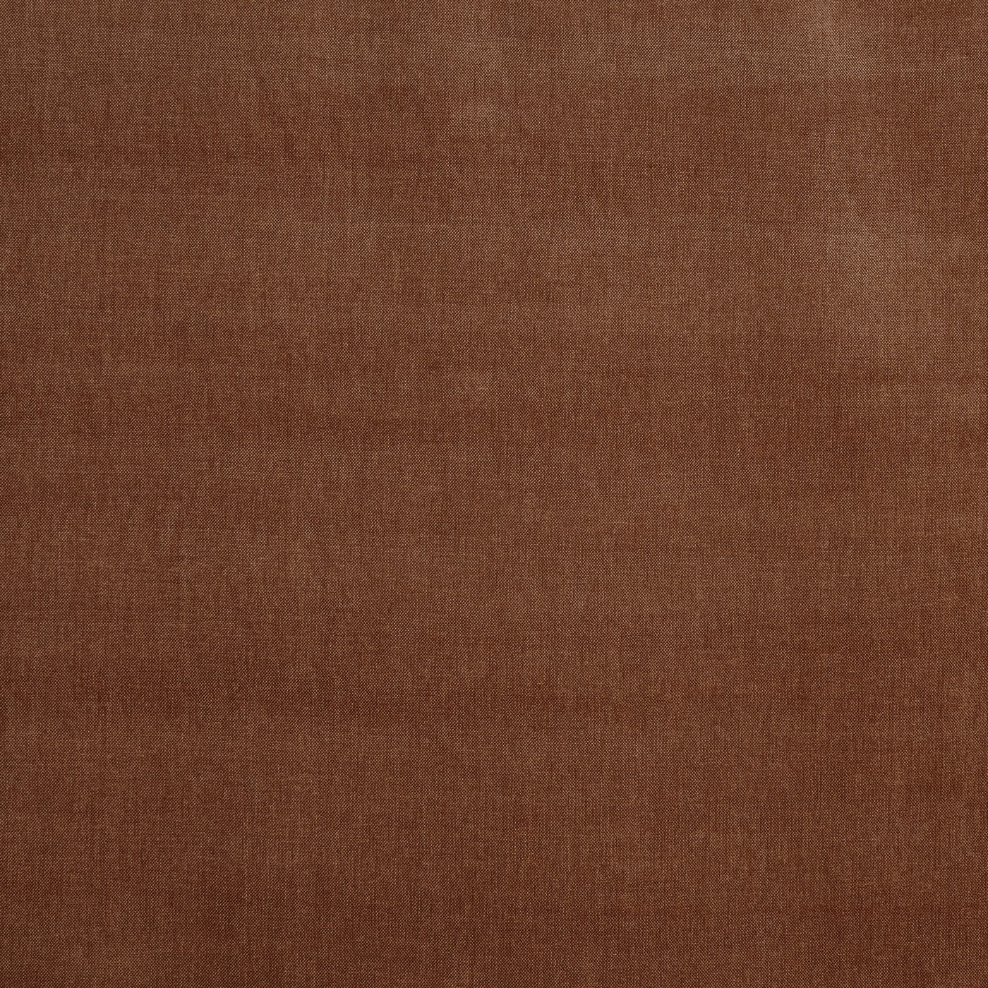 Burton Apricot