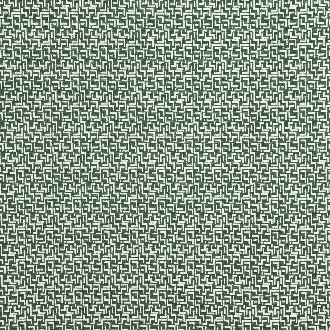 Brixton Ivy