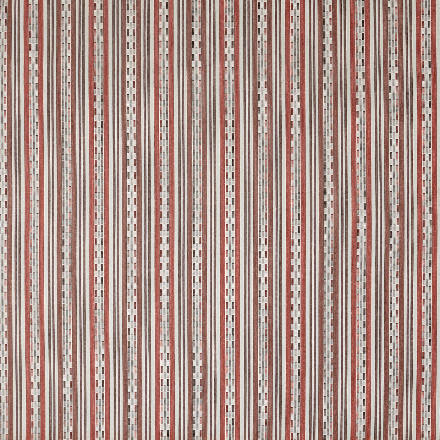 Abara Cinnabar