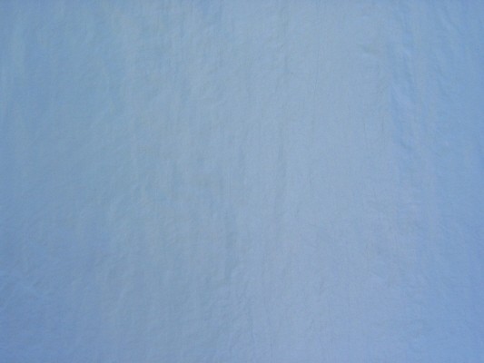 Polo Bluebell