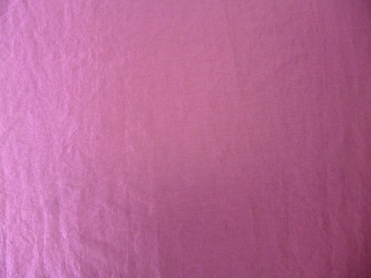 Polo Elderberry