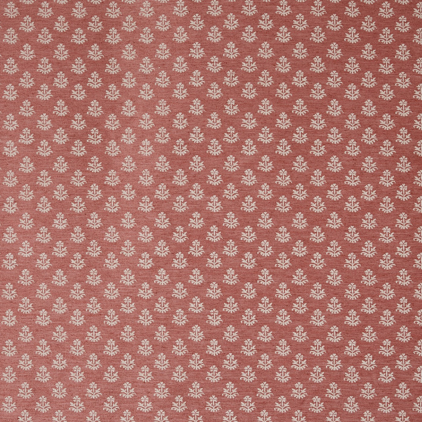 Zari Tangerine