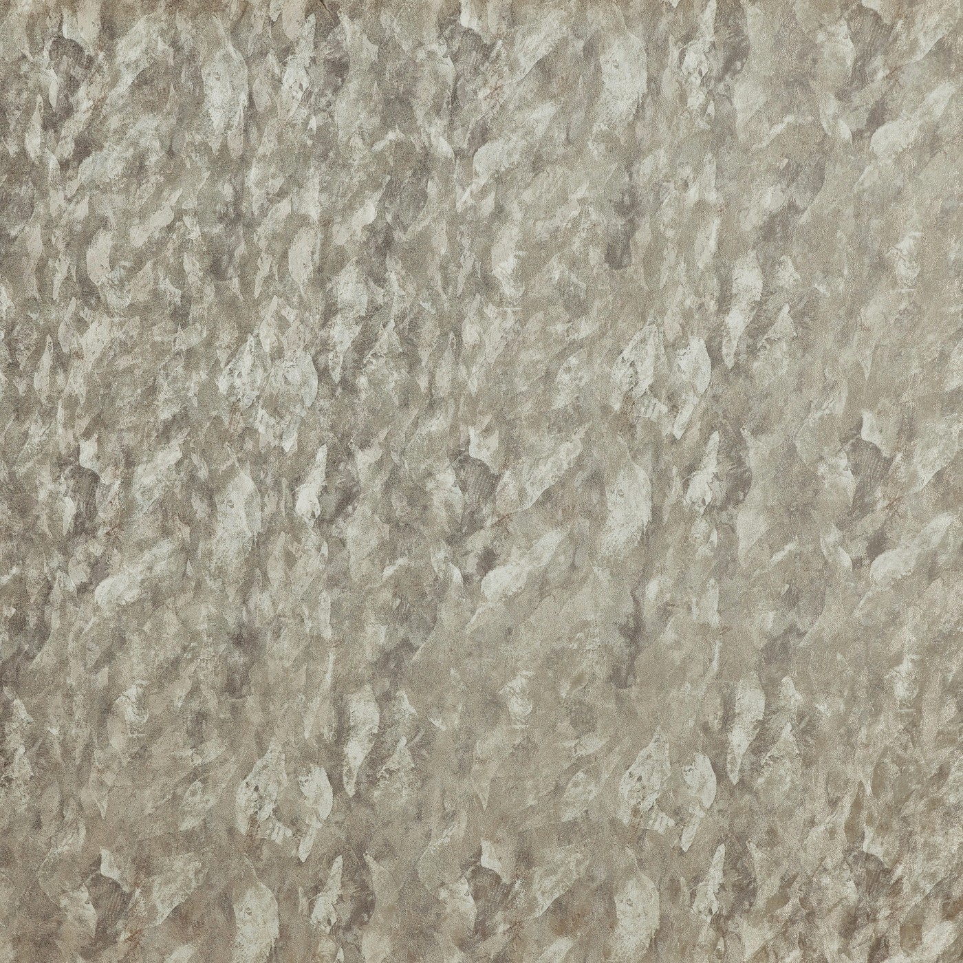 Varini Angora