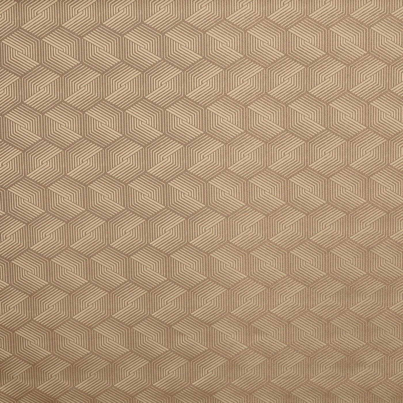 Caza Desert