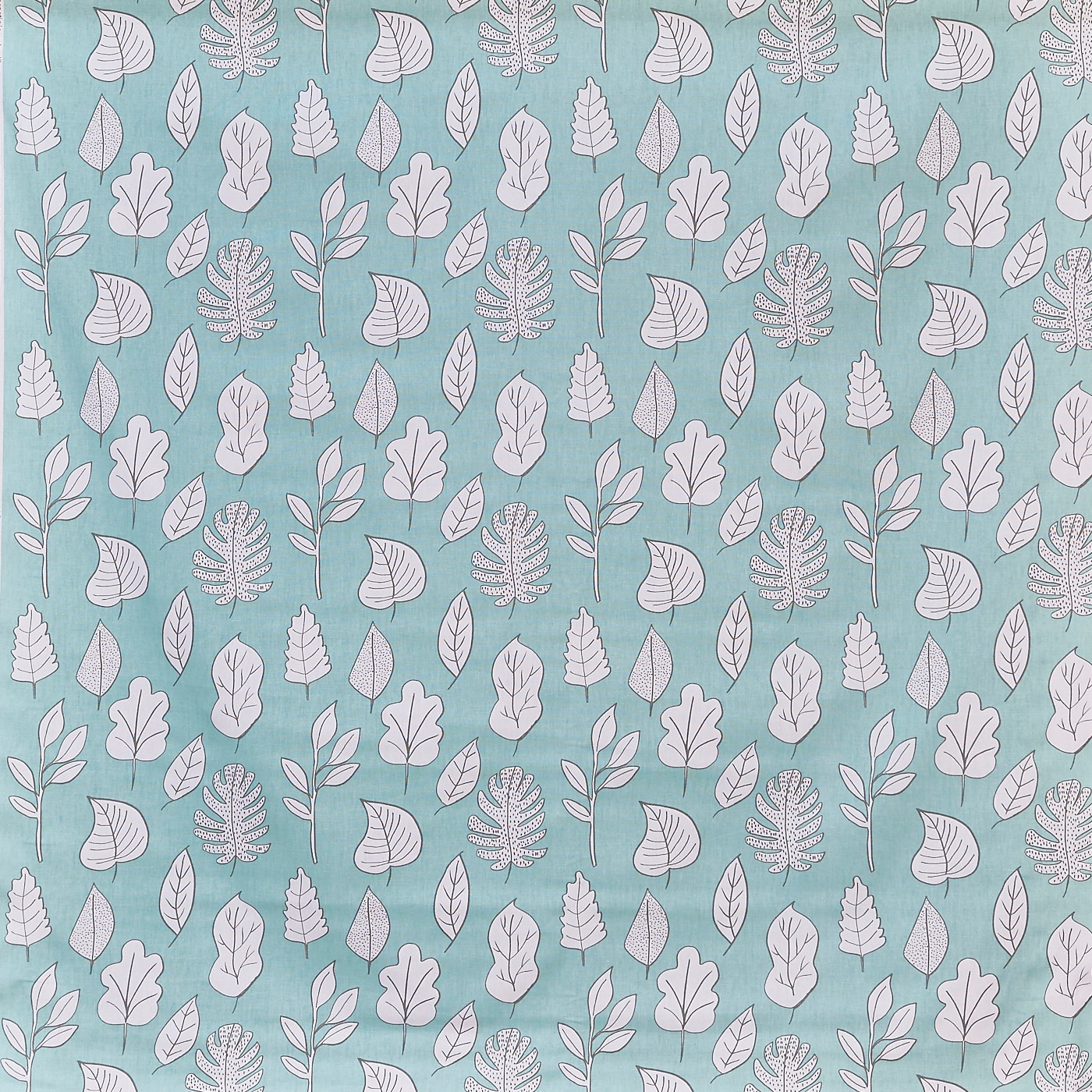 Biscayne Mint