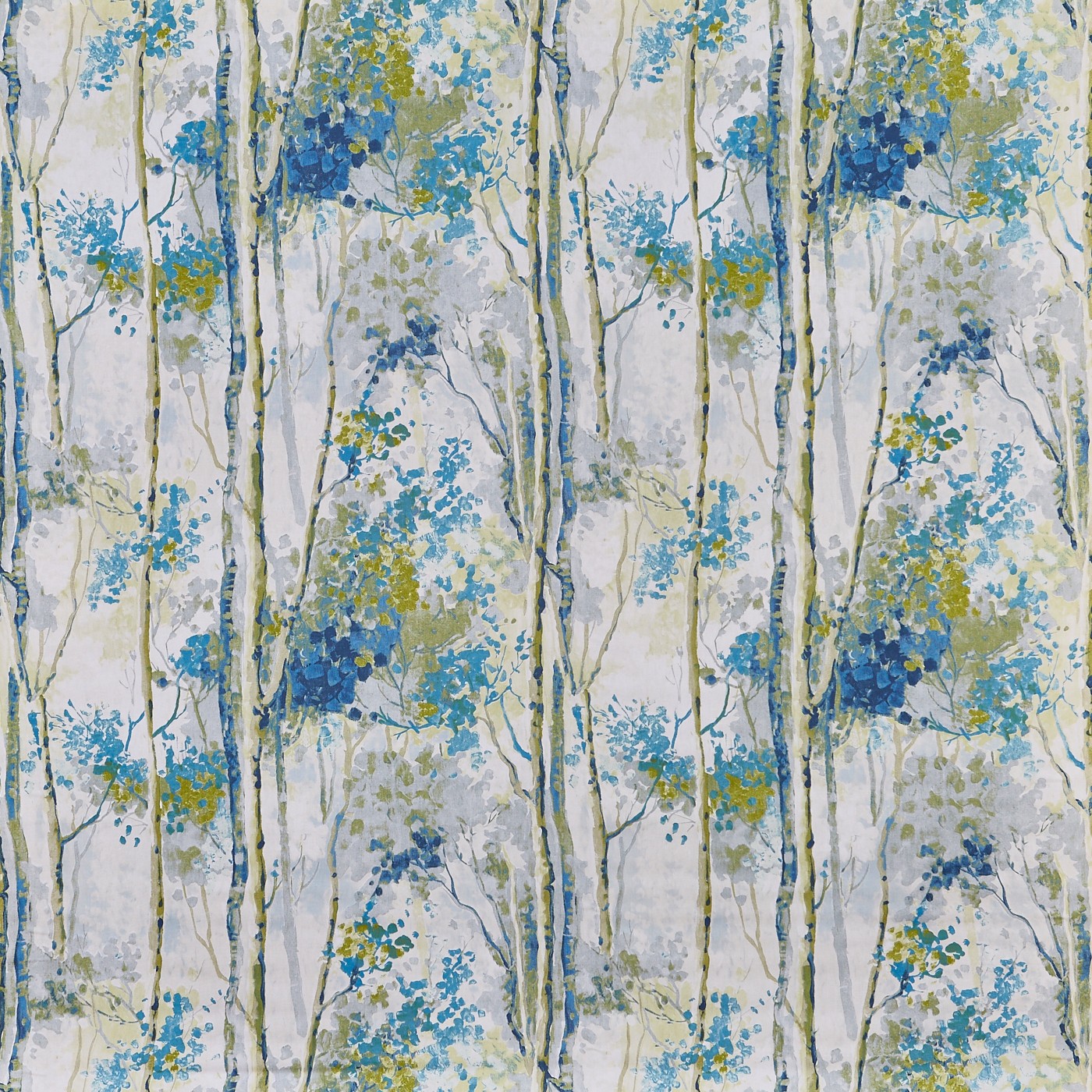 Silver Birch Larkspur
