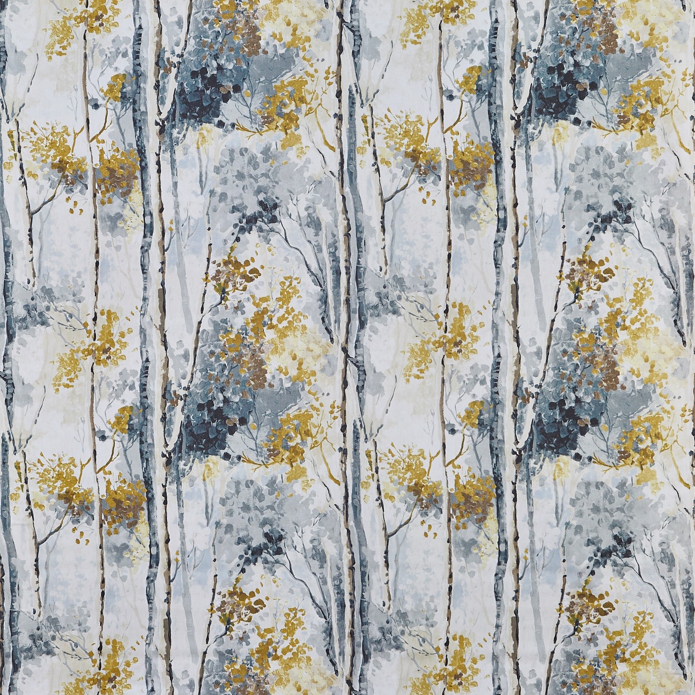 Silver Birch Shadow