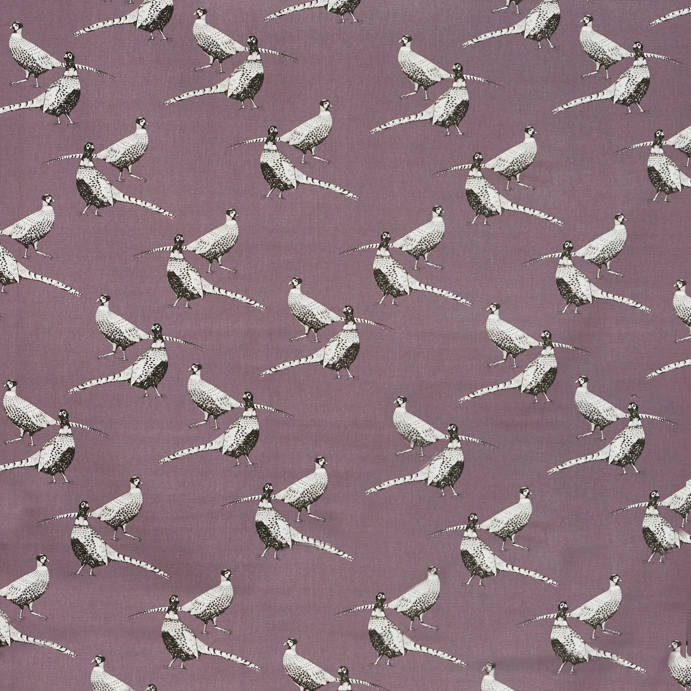 Pheasant Heather