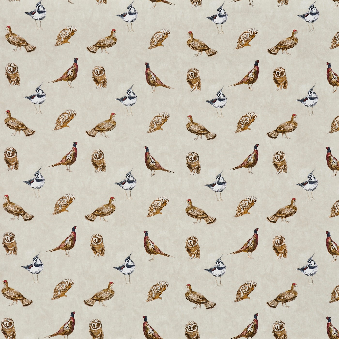Wild Birds Putty