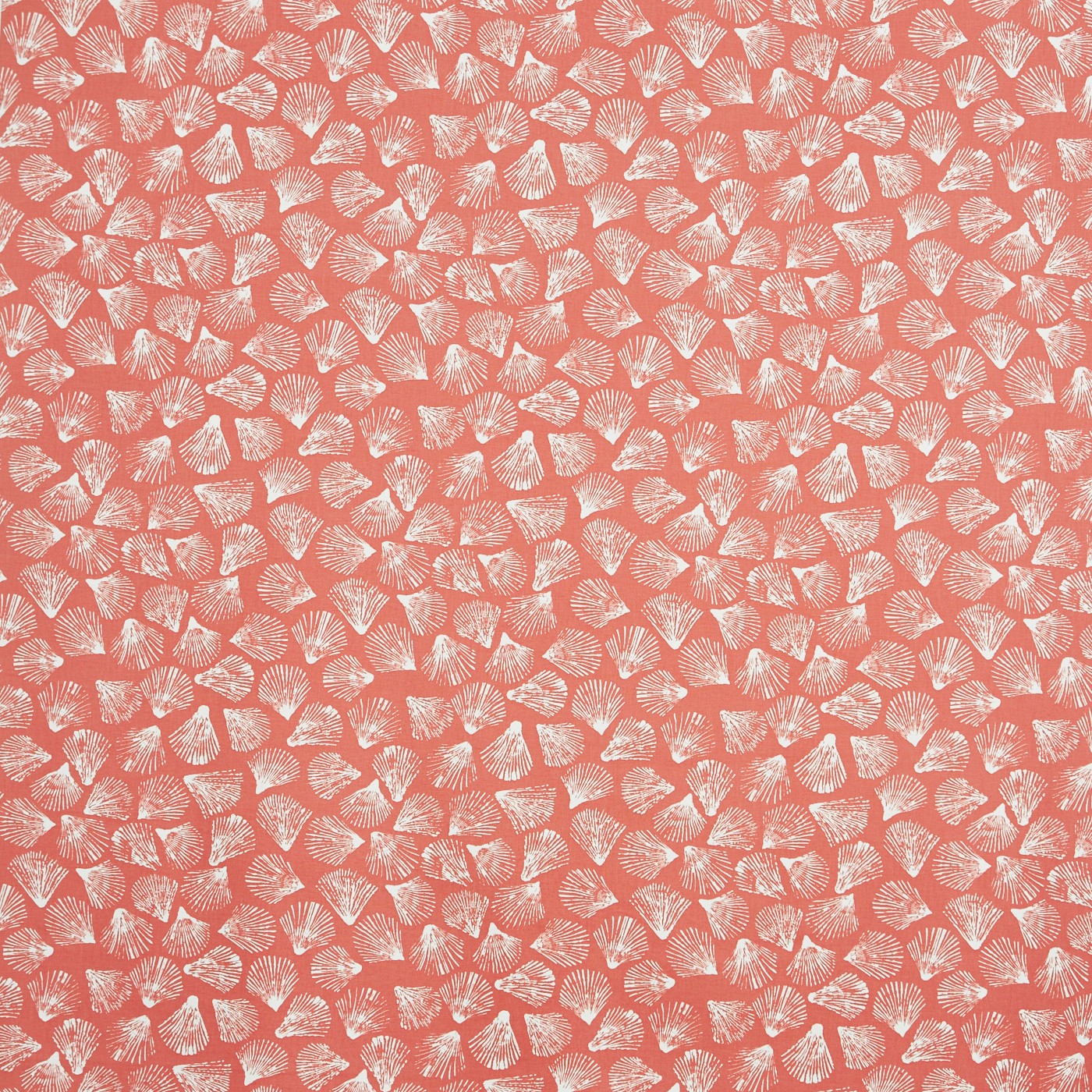 Sandbank Coral
