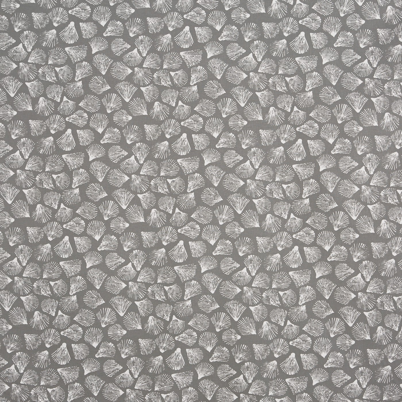 Sandbank Shale