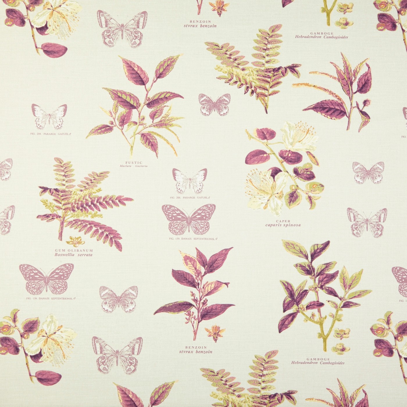 Botany Vintage