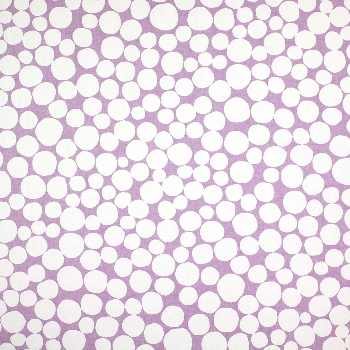 Fizzle Lilac