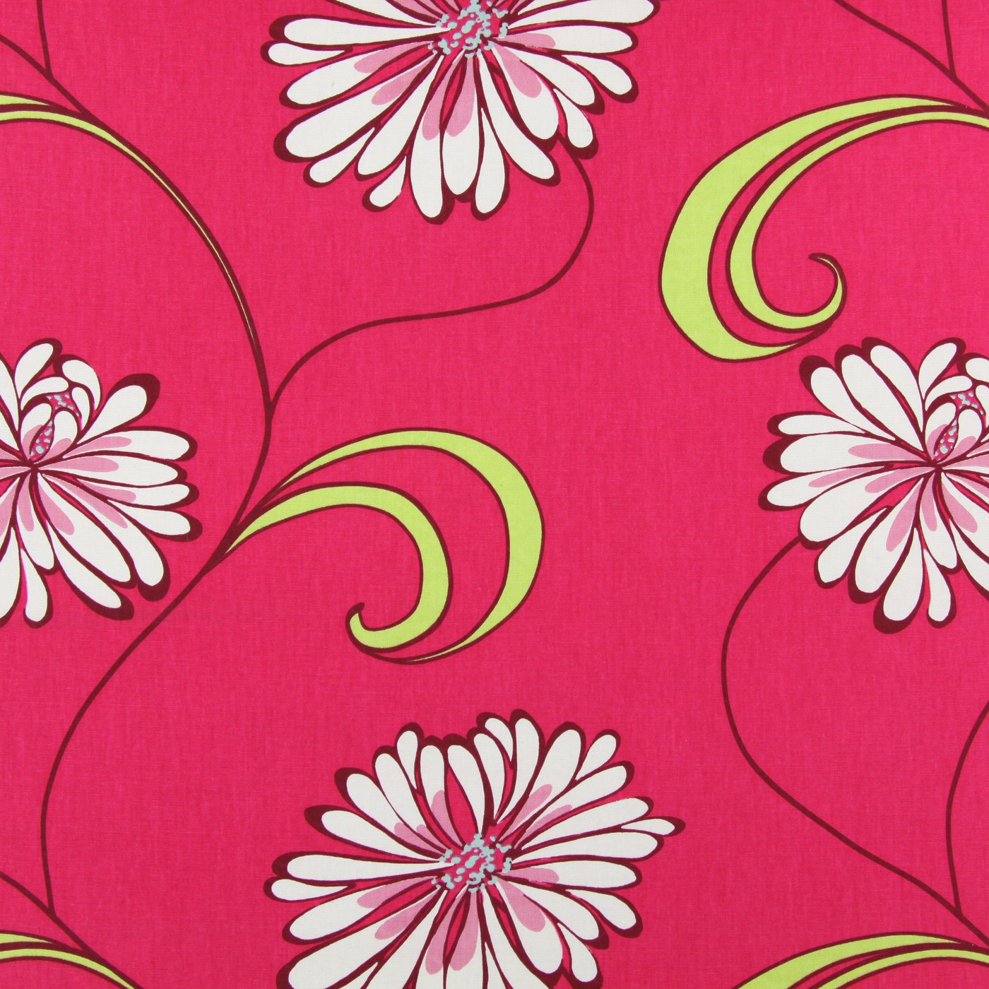 Rio Fuchsia