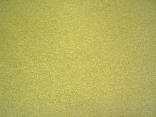 Silhouette Olive